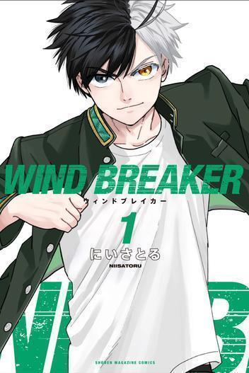 Wind Breaker (NII Satoru) - Webtoon TV